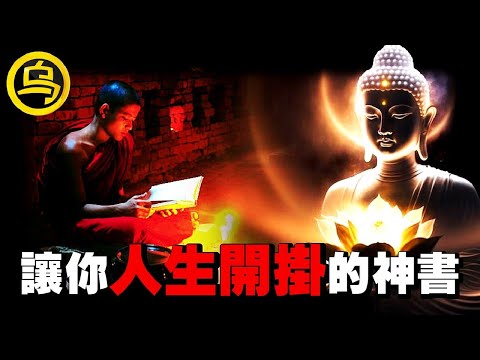 焦虑内耗、性格软弱的人一定要看！帮助无数人喜提「开挂人生」的神书！如何不焦虑地活着？1小时中间无广告合集  [She's Xiaowu 小乌]