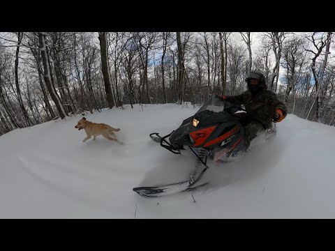 Snowmobile riding 2020-2021