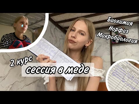 Сессия в меде // биохимия, норфиз и микробиология // летняя сессия на 2 курсе // как я сдала сессию