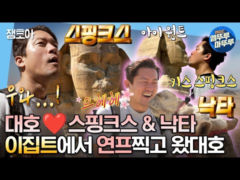 [#나혼자산다] ※속보※ 김대호 이집트에서 모 스핑크스 & 낙타와 핑크빛 기류 보여...💗 | #김대호 #이집트 #스핑크스 #낙타 MBC231117방송