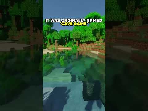 Did you know this about MINECRAFT