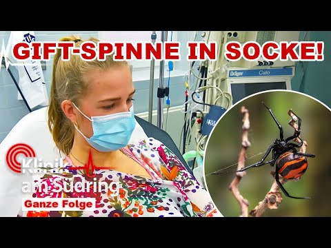 Giftiger Biss! - Warum hat sie eine SCHWARZE WITWE in der Socke? | Klinik am Südring | SAT.1
