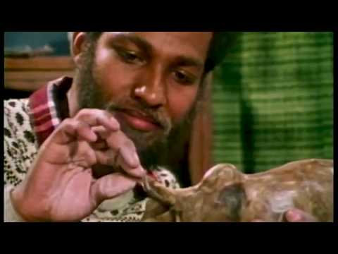 Savants and Genius: A Wonderful Mystery documentary (1983)