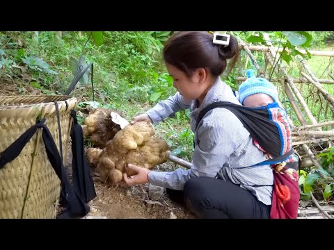 Harvesting crops and selling them at the market to earn money to buy milk and clothes for the baby