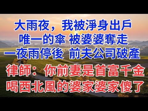 大雨夜，我被淨身出戶，離開時，唯一的傘被婆婆奪走，一夜雨停後 前夫公司破產 ，律師：你前妻是首富千金，喝西北風的婆家婆家傻了！#為人處世#故事分享#故事頻道#小說#故事#情感#家族恩怨#婆媳#女性成長