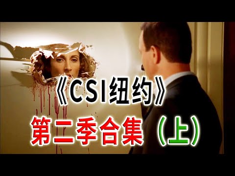 高分下飯神劇《犯罪現場調查：紐約》第二季合集（上）