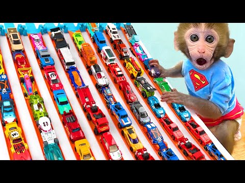 Singe Bon Bon construit une énorme supercar avec son ami singe dans le jardin arc-en-ciel
