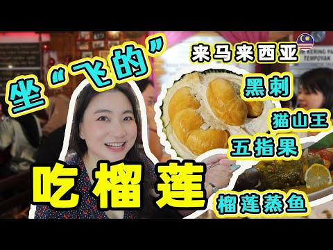 中国人打“飞的”跨域几千公里来马来西亚吃榴莲！受到大马华人热情招待，榴莲吃撑太满足了，赞不绝口！榴莲蒸鱼 I 黑刺I猫山王I五指果 Fly to Malaysia for Durian Feast!