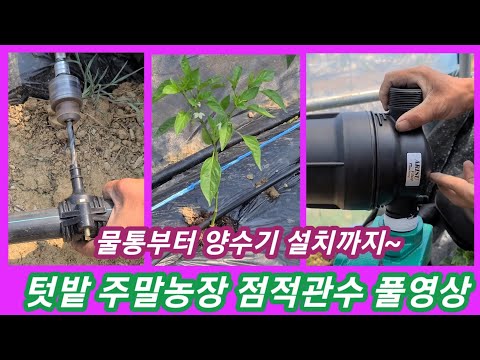 텃밭 점적관수 풀영상~물통부터 양수기 설치~아직 관수 안하신분 꼭 보세요~ 주말농장,물펌프 점적체이프,점적호스,귀동귀촌,농사농부 비닐하우스 관수