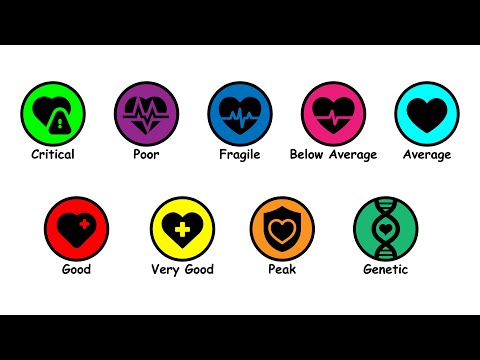 Every Level of Health Explained in 8 Minutes