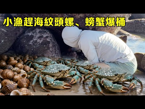 小漁開船趕海封神，紋頭螺、螃蟹爆桶，這趟太值賺麻了【漁小仙】