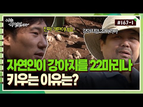 [자연인] 167-1 강아지만 22마리?! 자연인이 강아지를 이렇게 많이 키우는 이유는?