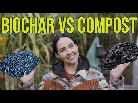 Biochar vs Compost: Which One is Right for Your Garden?
