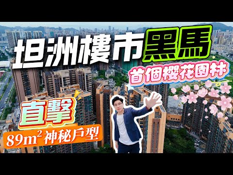坦洲佳境康城，坦洲樓市黑馬，首個櫻花園林，直擊，89m²神秘戶型      #珠海 #低總價 #筍盤 #港車北上 #房地產 #港澳人士置業 #港人灣區攻略 #退休首選