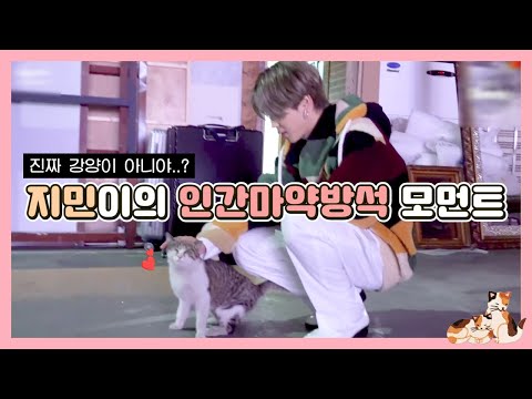 방탄 지민 별명이 강양이인 이유 (a.k.a. 인간마약방석)