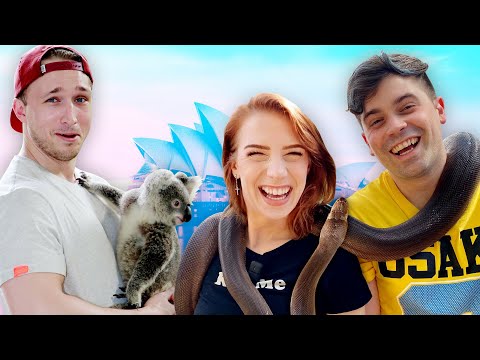 Snuggling Koala Bears in Australia (Squad Vlog)