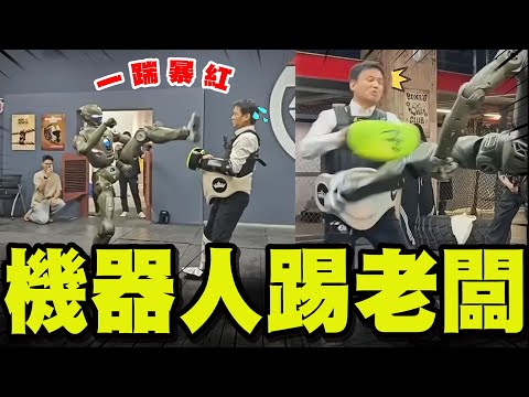 [Full Subtitles] Mainland Chinese Humanoid Robot "Kicks Boss Away" to Viral Attention! Curator Pe...