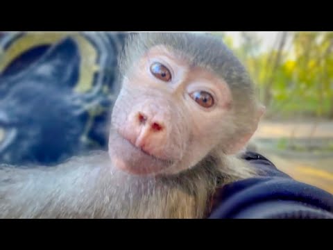 We are returning home, it is so scary when you see suffering and can’t do anything to help...