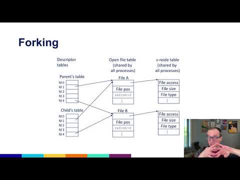 What's behind a file descriptor in Linux? Also, i/o redirection with dup2.