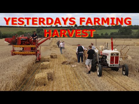 "Yesterdays Farming" Harvesting