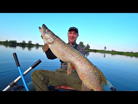 ЭТО ЖЕСТЬ, ТАКУЮ БОРЬБУ НУЖНО ВИДЕТЬ. ОГРОМНАЯ ЩУКА клюнула на микро джиг. Рыбалка на спиннинг