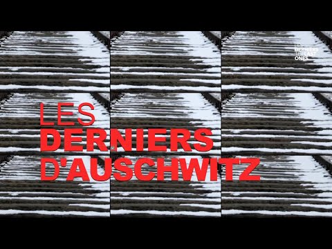 Les Derniers d'Auschwitz