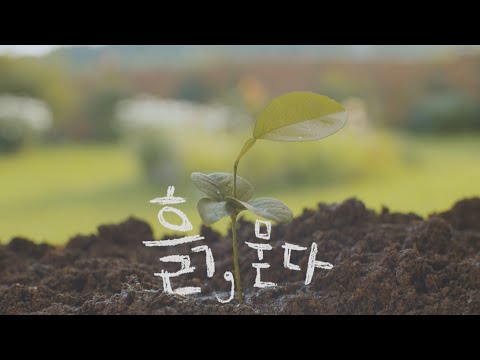 지구 온난화 위기로 다시 주목받는 흙 이야기...'흙, 묻다' [풀영상] | 시사기획 창 356회 (2021.12.19)