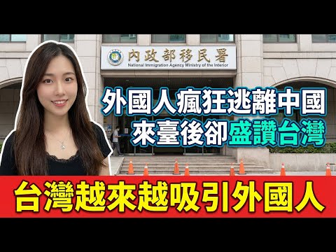 外國人離開中國移民台灣的趨勢對比，香港的神仙都走了，不僅帶走了資金還帶走了人才，大陸民衆徹底崩潰｜Reaction Video