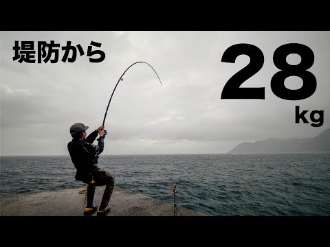 A fantastic episode... A dream come true on a remote island! A huge 28kg GT fish bites a bait fro...