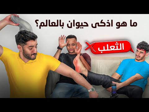 تحدي الأسئله العامه اذا ما تجاوب تنجلد مع ابو فله | ضيف غبي جديد 😂