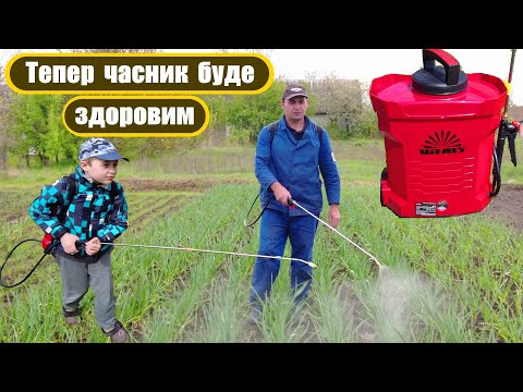 Sprayer Vitals Sm112о. We process garlic from diseases and pests