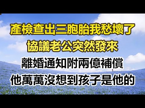 產檢查出三胞胎我愁壞了，協議老公突然發來，離婚通知附兩億補償，他萬萬沒想到孩子是他的#幸福敲門 #為人處世 #生活經驗 #情感故事