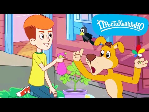 Новое ПРОСТОКВАШИНО 🐶🐱 Суперцветик 🌺 Новая серия 🌺 Сборник мультфильмов ⭐ Мультики