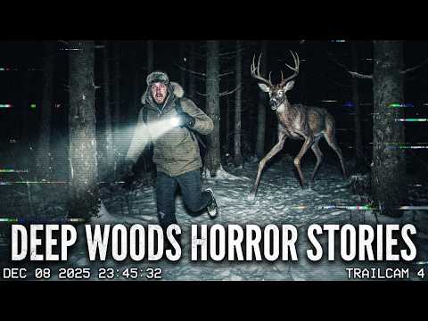 Real Deep Woods Horror Stories for a Sleepless Night