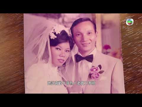 星期日檔案 - 只想見你