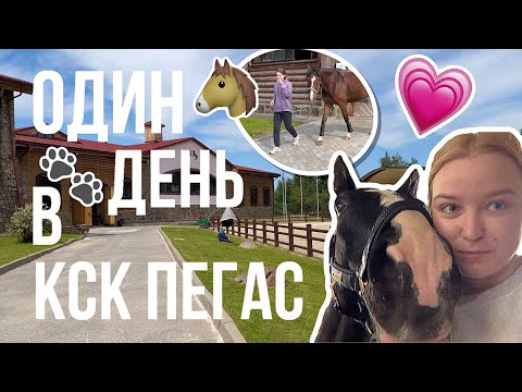 как проходит день коновода | экскурсия по КСК Пегас
