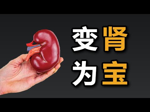 哲学辩论：器官买卖错哪了？