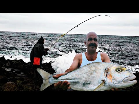 الطعم السحري قنفود البحر +11كلو من أسماك الزريقة في مدة وجيزة ، اكتشفوا الطريقة مع الرأيس فتاح