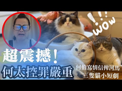 何太超驚 改控終身監禁！何伯竟然仲每日寫情信給何太想挽回 真係無眼睇！三隻貓模仿何太小短劇 情信內容爆笑！