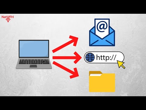 Network Ports Explained: A Beginner’s Guide