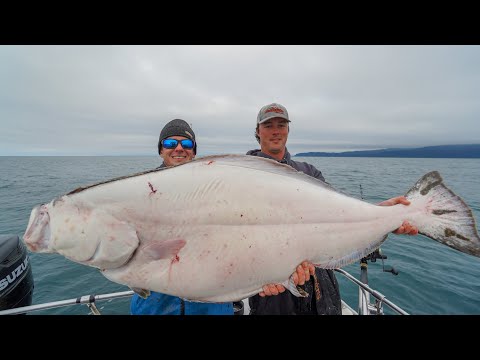 GIANT Alaskan Halibut... Catch Clean Cook