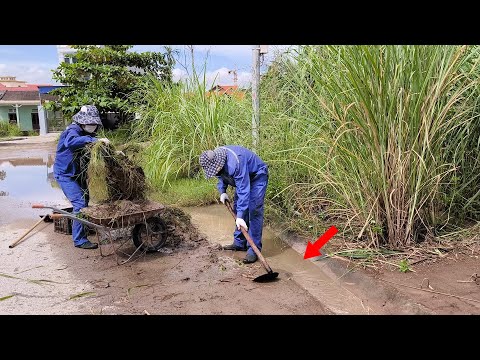 Shocked! Neighborhood Lives with Flooded and Sidewalks Overgrown Weeds but None of Them Care