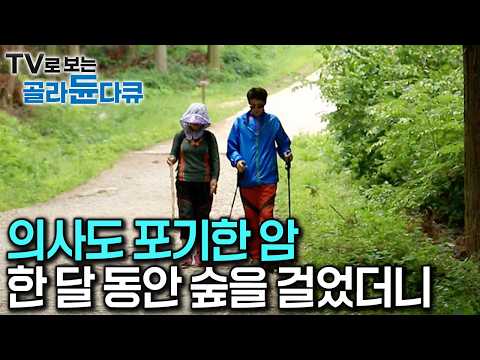 [ENG SUB] Terminal Cancer Shrunk After a Month in This Healing Forest #PICKDOCU