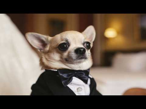 Thanks for 250 Subs!