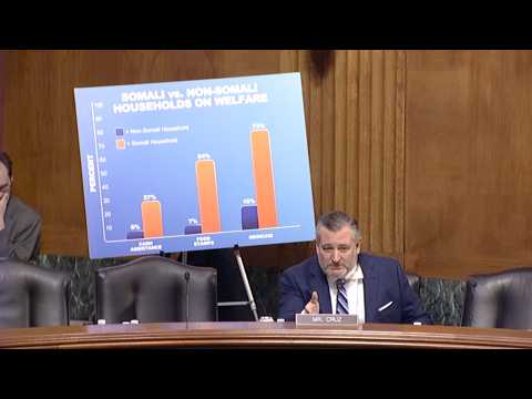Sen. Ted Cruz Questions Witnesses on Somali Fraud in Minnesota
