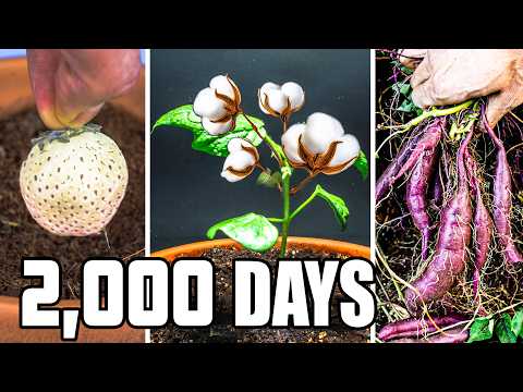 I Filmed These 11 Plants for 5.5 Years (Time-Lapse Compilation)