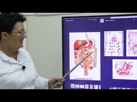 Что вызывает расстройства надпочечников. [Шишова О.И.]