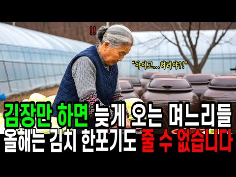 15년 동안, 김장만 하면 늦게 오는 부자 며느리들...올해는 김치 한 포기도 줄 수 없습니다.