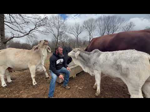 When will Rufus be a dad again? Here ya go!!