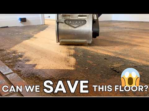 Can we SAVE this floor?? 😱 | Hardwood Floor Refinishing